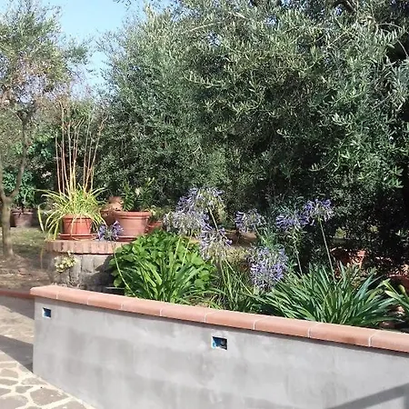 Апартаменты La Terrazza Di Cascia